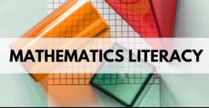 I will teach you English and Mathematical literacy